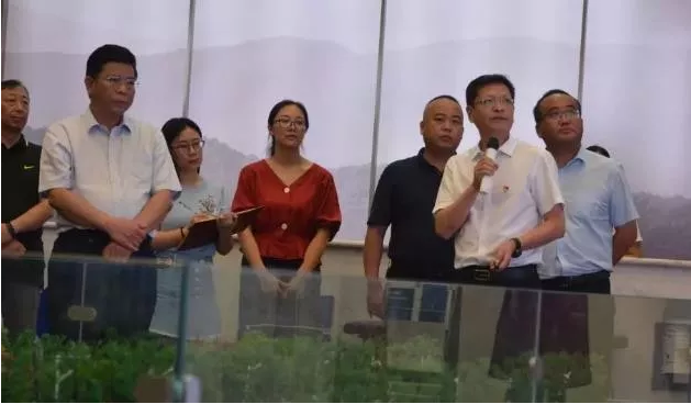 图片33.png
